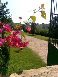 Gallery image of Casale Degli Ulivi Prestige in Altavilla Silentina