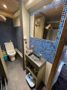 ein Badezimmer mit einem Waschbecken, einem WC und einem Spiegel in der Unterkunft Grand Roc in Chamonix-Mont-Blanc