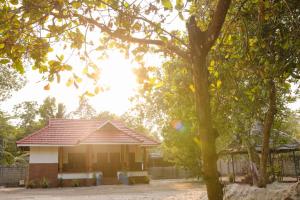 马拉利库兰RIVA Marari Beach Homestay的前面有一棵树的小房子 更多9张照片