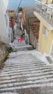 Příroda nedaleko prázdninového domu
