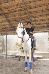 a man is sitting on a white horse at RIVA Marari Beach Homestay in Mararikulam