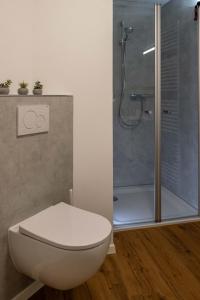 La salle de bains est pourvue d'une douche et de toilettes. dans l'établissement Ferienwohnung Vergissmeinnicht Sauerland, à Schmallenberg