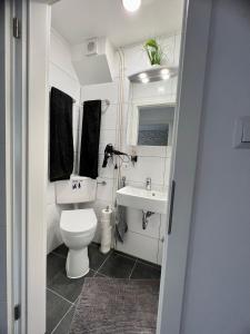 a bathroom with a toilet and a sink at Zwei Zimmer Appartement in Bremen