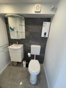 Baño pequeño con aseo y lavamanos en Möblierte Wohnung 2 Einzelzimmer, en Hünxe