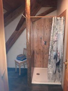 a shower in a room with a wooden wall at Altes Forsthaus in Riedlhütte