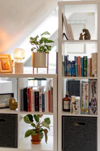 a book shelf filled with books and a potted plant at Dinbnb Apartments I 100 meters from Bryggen I Self check-in I Coffee + in Bergen