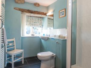 a blue bathroom with a toilet and a sink at Treseissyllt Hafod St Nicholas in Saint Nicholas