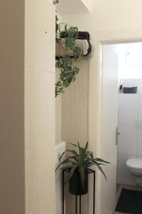 La salle de bains est pourvue de toilettes et d'une plante en pot. dans l'établissement Stilvolle Wohnungen im Villenviertel Villachs, à Villach