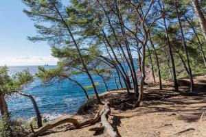 Una vista de una playa con árboles y el agua. en Vue Mer sur l'isthme plage à 2 min. Arrivée H24, en La Seyne-sur-Mer 10 fotos más