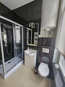 La salle de bains est pourvue de toilettes, d'une douche et d'un lavabo. dans l'établissement Cosy studio center of Bruxelles, à Bruxelles