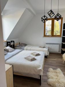 a bedroom with two beds and a window at Bioło Izba Apartament w Zębie in Ząb