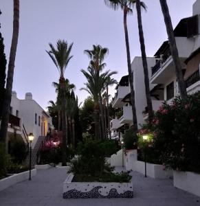 een stadsstraat met palmbomen en gebouwen bij Casa La Marina in Alcossebre
