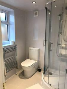 a bathroom with a toilet and a shower at Garden studio in Golders Green