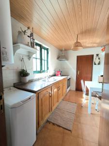 cocina con fregadero y lavavajillas en Canastro Nature Spot, en Viseu