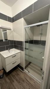 a bathroom with a glass shower and a sink at Appartement avec terrasse in Vierzon
