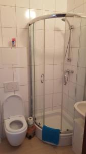 a bathroom with a shower with a toilet and a sink at Appartements Vermietung in Industriehof