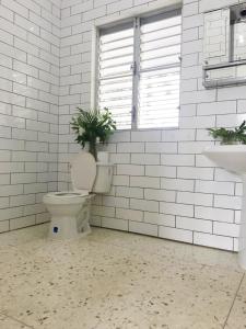 a bathroom with a toilet with a plant on it at Papaya Casita - On an organic farm in Jamao al Norte