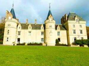 a castle with two towers on a green field at Château de la Pervenchère gîte Exotique in Casson