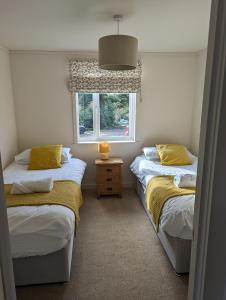 two twin beds in a room with a window at Two Bedroom Lodge In The Country - Oak, Stag, Acorn in Liskeard
