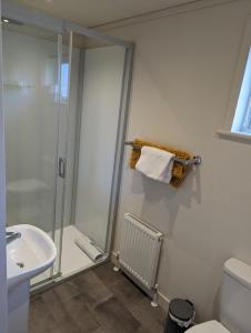 a bathroom with a shower and a toilet and a sink at Two Bedroom Lodge In The Country - Oak, Stag, Acorn in Liskeard
