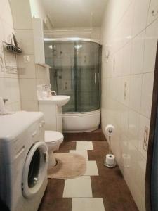 a bathroom with a toilet and a sink and a shower at Apartament u Anny in Szczytna