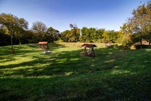 dos mesas de picnic en el césped en un campo en LénApartman - Dakota, en Pécs