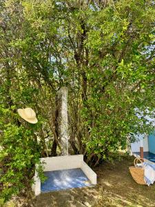 Gallery image of Garden Retreat - Homey Experience in Olbia +23 photos