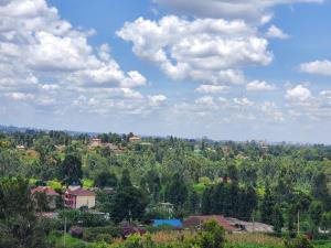 een uitzicht op een stad met bomen en wolken bij Luxury penthouse in Nairobi
