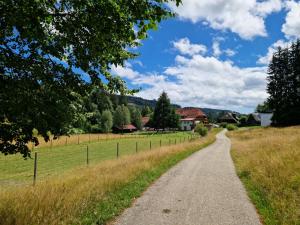 a dirt road leading into a field with houses at Altes Zollhüsli in Schluchsee