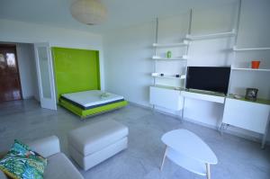 sala de estar con sofá y TV en Exceptionnel studio vue Mer hauteurs de Nice, en Niza