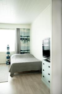 1 dormitorio con 1 cama y TV de pantalla plana en Cozy downtown studio in Turku en Turku