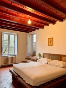 1 dormitorio con 1 cama grande en una habitación en Il Talucco B&B, en Valdengo