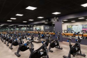 a gym with rows of treadmills and exercise bikes at DoubleTree By Hilton Baltimore North Pikesville in Pikesville