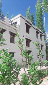 Foto dalla galleria di Shel Heritage Home a Leh Altre 10 foto