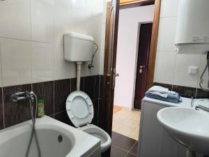 a bathroom with a toilet and a sink at ATTICA APARTMENTS in Bijelo Polje