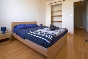 a bedroom with a large bed with blue pillows at Appartement Cosy proche Gare TGV et Centre ville. in Avignon