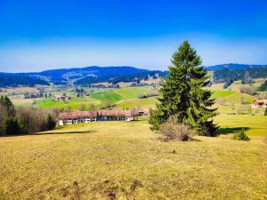 a green field with a pine tree in the foreground at Sonnen-Juwel mit Pool - Sauna direkt an der Skipiste in Missen-Wilhams