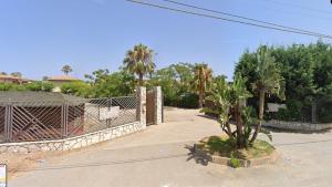 una cerca con una palmera en un patio en New Residence, 