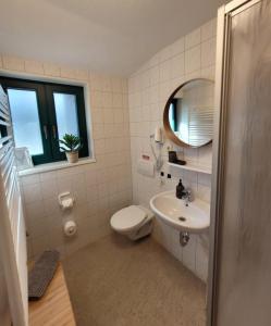 a bathroom with a toilet and a sink and a mirror at Pension Am Stadtholz in Kröpelin