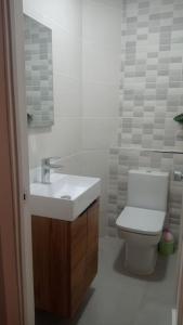 ein Badezimmer mit einem weißen WC und einem Waschbecken in der Unterkunft Piso en Ourense- Sempre Maruxiña in Ourense