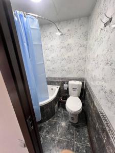 a bathroom with a toilet and a bath tub at Hotel Afsona old city in Bukhara