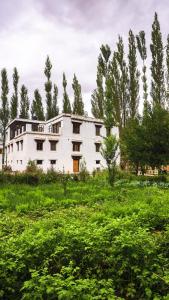 un ancien bâtiment blanc dans un champ arboré dans l'établissement Shel Heritage Home, à Leh