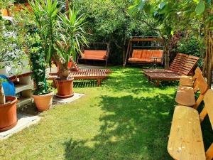 Taman di luar Apart Júlia Villa