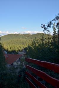 Gallery image of Orange House in Harghita-Băi