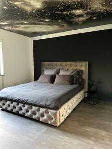 1 dormitorio con 1 cama grande y techo de estrellas en Space Night Apartment, en Bad Bergzabern