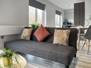 a living room with a couch with pillows on it at Apartment 205 in Sheffield