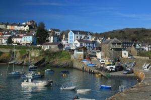 a group of boats are docked in a harbor at No. 1 Cliffside New Quay in New Quay