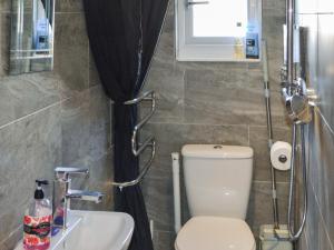 łazienka z toaletą i umywalką w obiekcie The Shepherds Hut - Uk46633 w mieście Culbokie