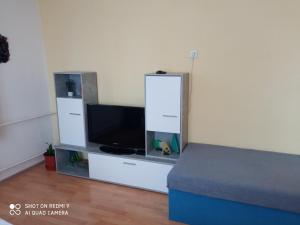 salon z telewizorem i łóżkiem w obiekcie Apartmán v centru w mieście Havlickuv Brod