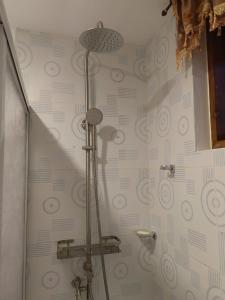 a shower in a bathroom with a wall with swirls at Michael's Apartment in Moalboal +17 photos